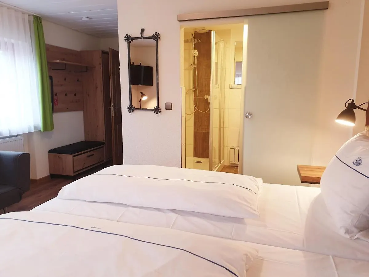 Hotel Gasthof Zum Schwan Steinsfeld 3*,