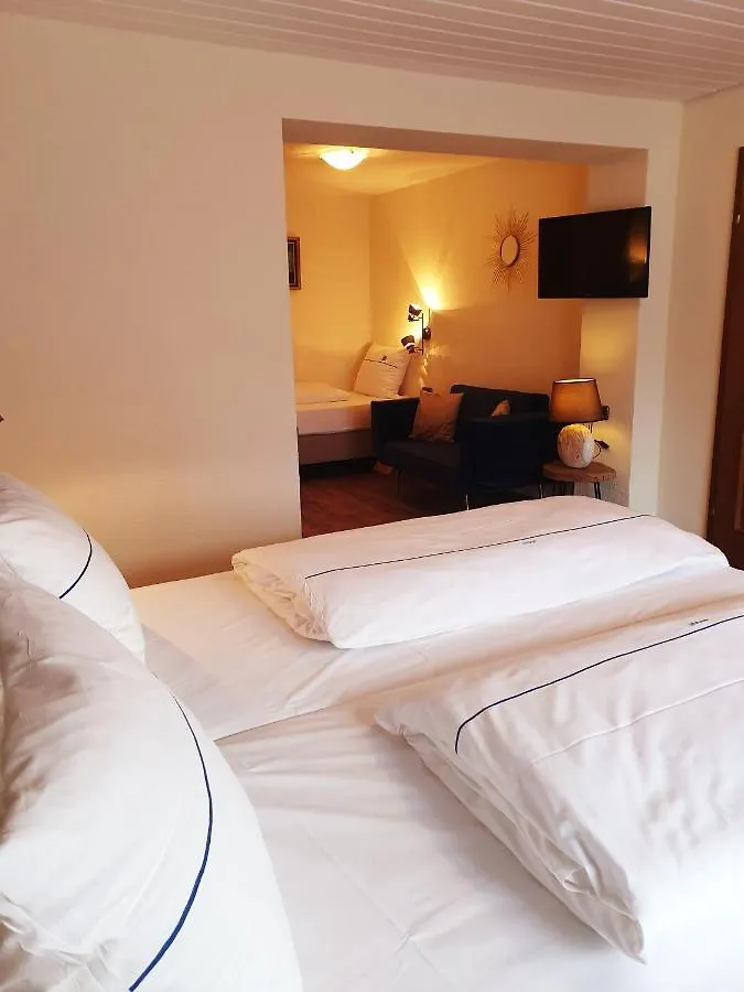Gasthof Zum Schwan Guest House Steinsfeld Germany